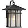 Syon 16 1/2" High Bronze and Glass Outdoor Wall Light