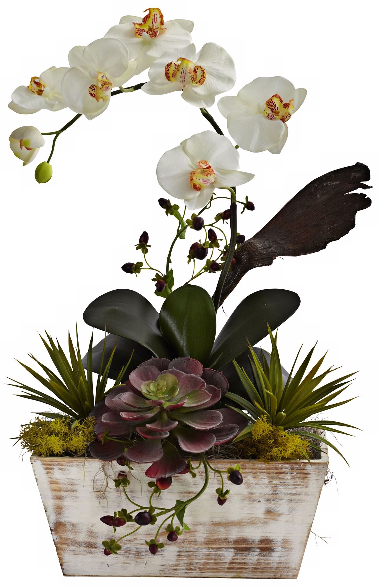 White Orchid And Succulent 21 H Faux Plants In Whitewash Pot 7c187 Lamps Plus