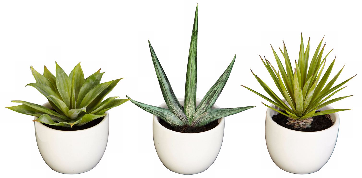 Southwest Mixed Succulent Faux Plants in Pots Set of 3