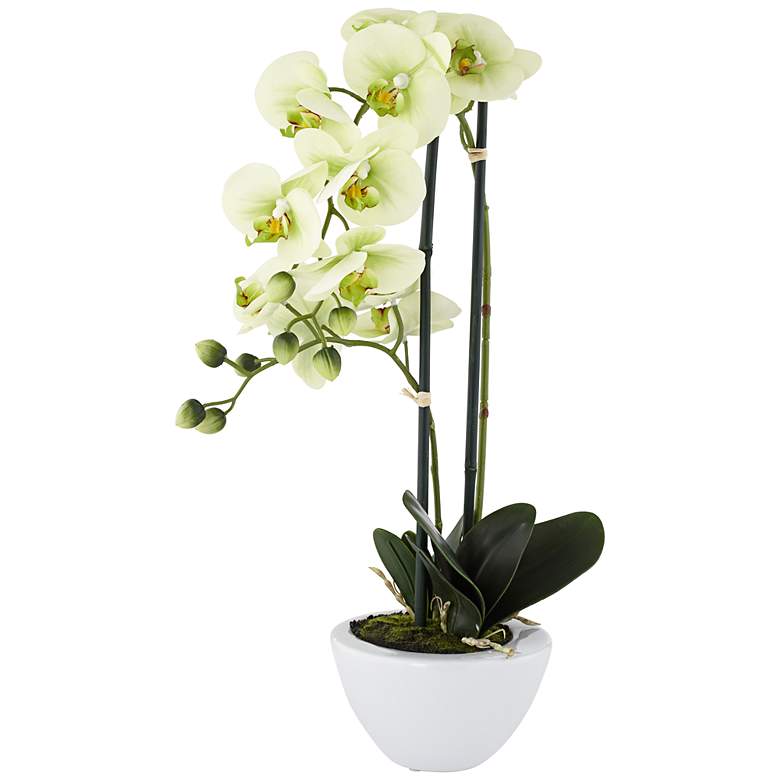Blumen Kunstliche Pflanzen Mini Phalaenopsis Orchid In Pot