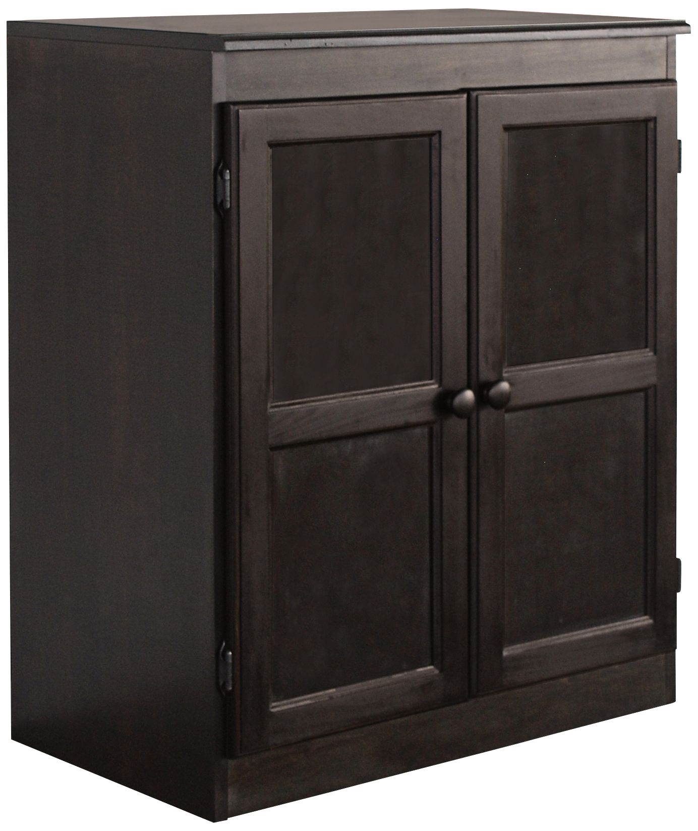 Hunkel 30" Wide Espresso 2-Door Storage Cabinet