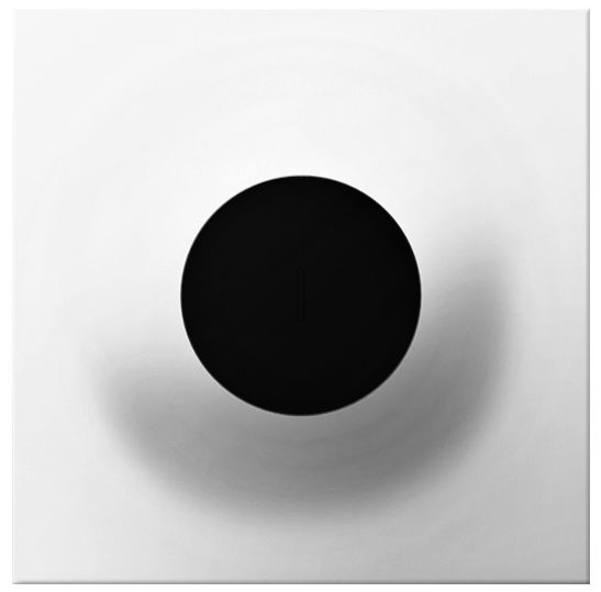 adorne® White 15A Wave-On Wave-Off Light Switch