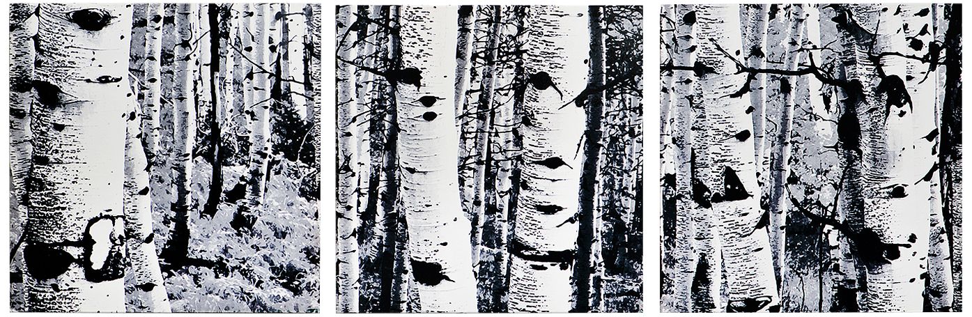 Aspen Triptych 38" Wide Black and White Trees Wall Art