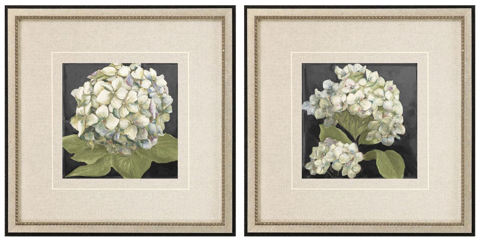 Paragon Hydrangeas On Black 19" Wide 2-piece Framed Wall Art Set