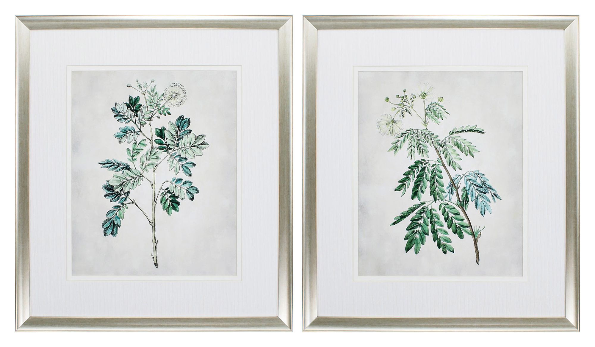 Acacia Tree 31" High 2-Piece Framed Wall Art Set