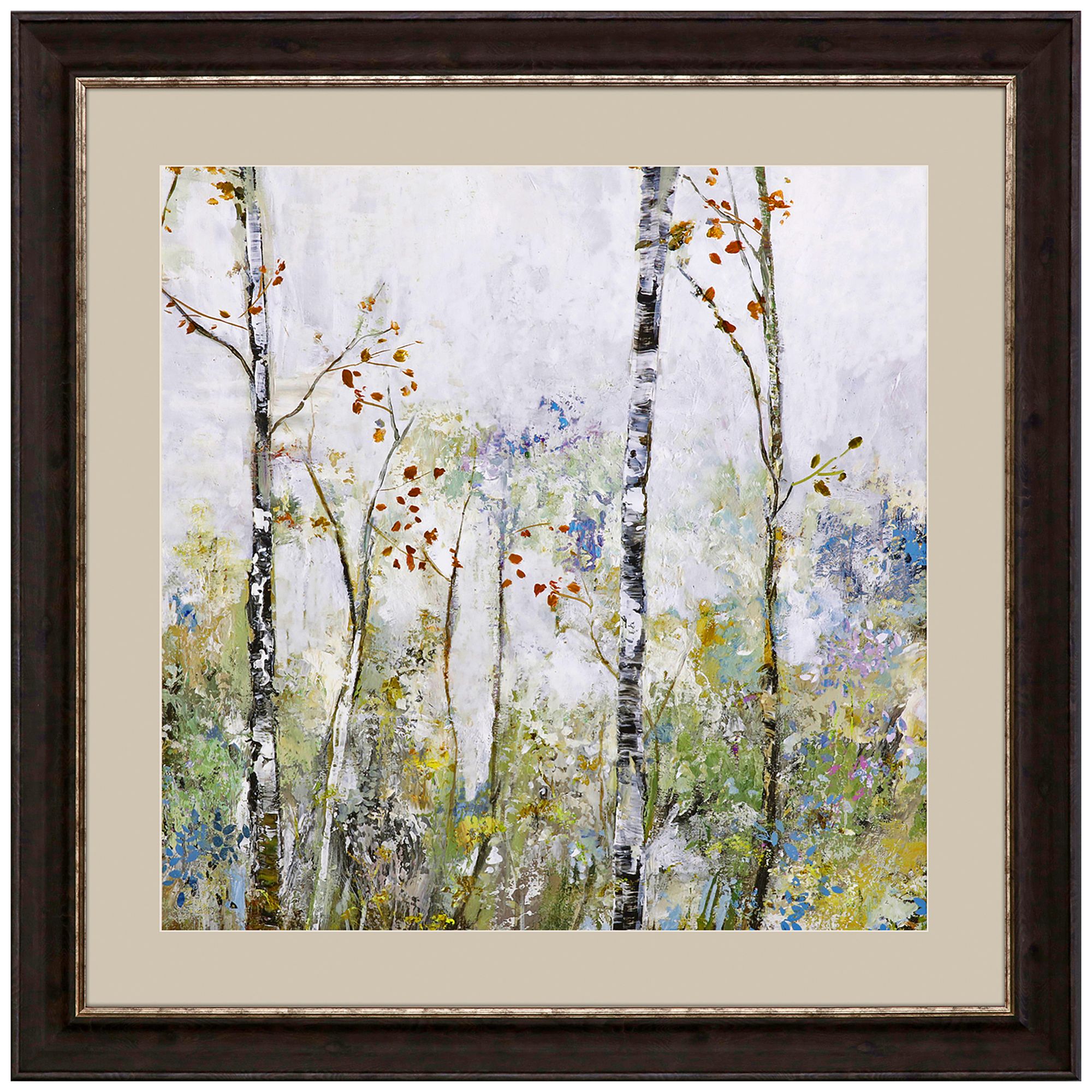 Birch Forest II 42" Square Giclee Framed Wall Art