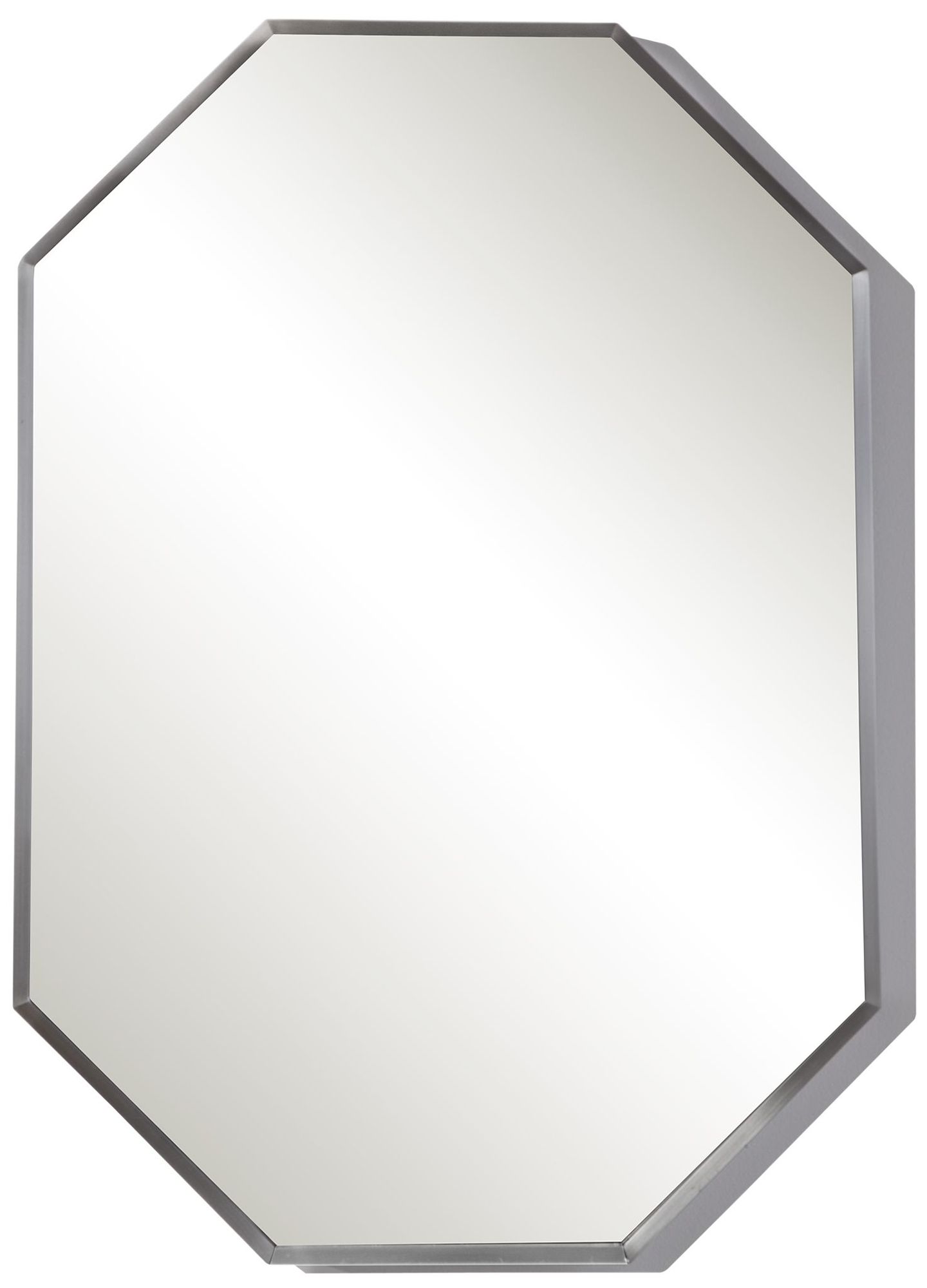 Stuartson Brushed Nickel 20" x 30" Octagon Vanity Mirror 88A94