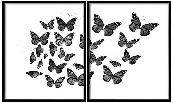 Black And White Butterflies 2-Piece 42 3/4" Wide Wall Art - #8G195 ...