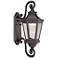 Hanford Pointe LED 21 3/4"H Bronze Outdoor Wall Light