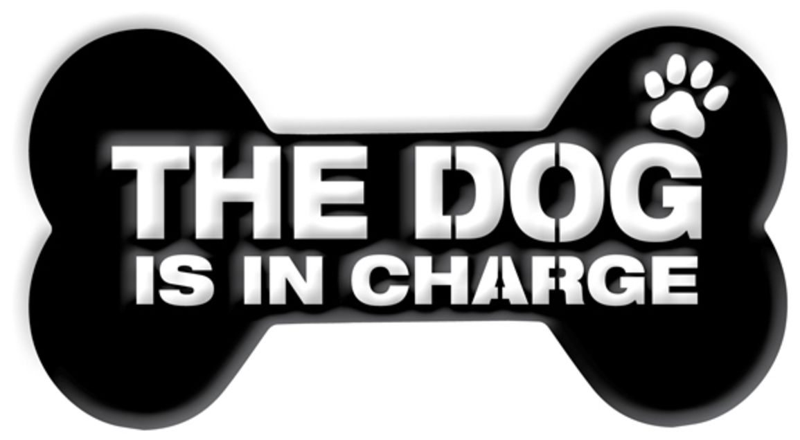 Typography, Wall Art Lamps Plus