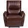 Italy Brown Leather Power USB Recliner with Lumbar Support