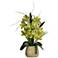 Green Cymbidium Orchid 21 1/2" High Faux Flowers in Pot