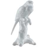 Empress Parrot on Branch 8 1/2&quot;H White Porcelain Figurine