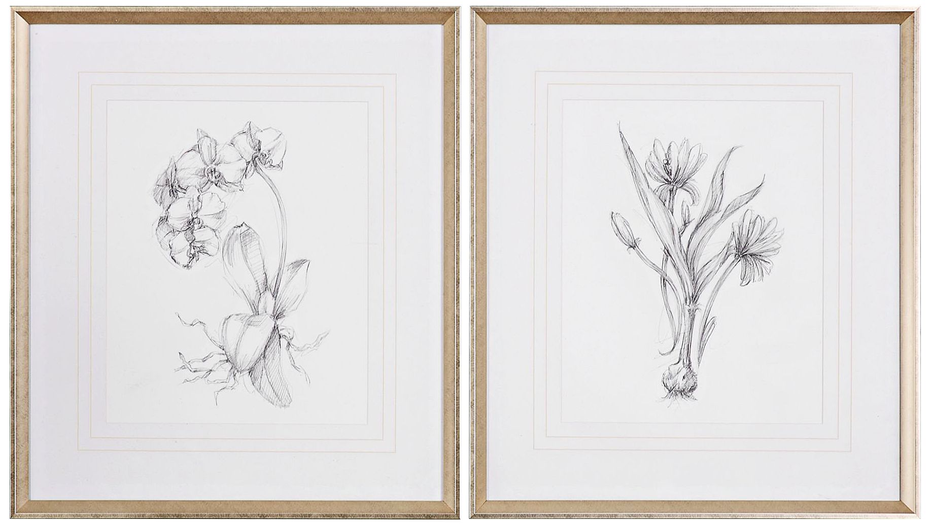 Botanical Sketches 2-Piece 32" High Framed Wall Art Set
