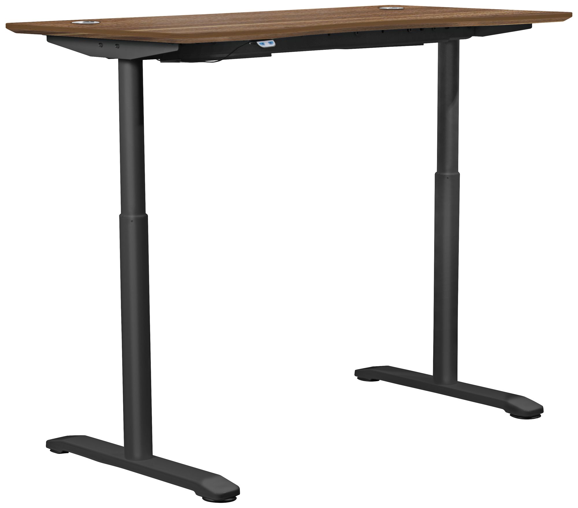 100 Collection 55" Wide Walnut Finish Electric Standing Desk