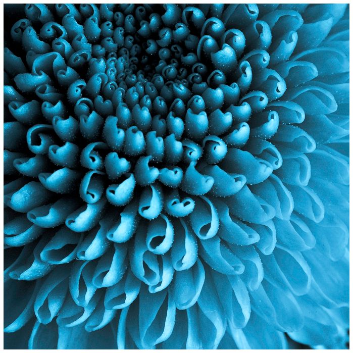 Plus or Minus 30" Square Stretched Canvas Wall Art