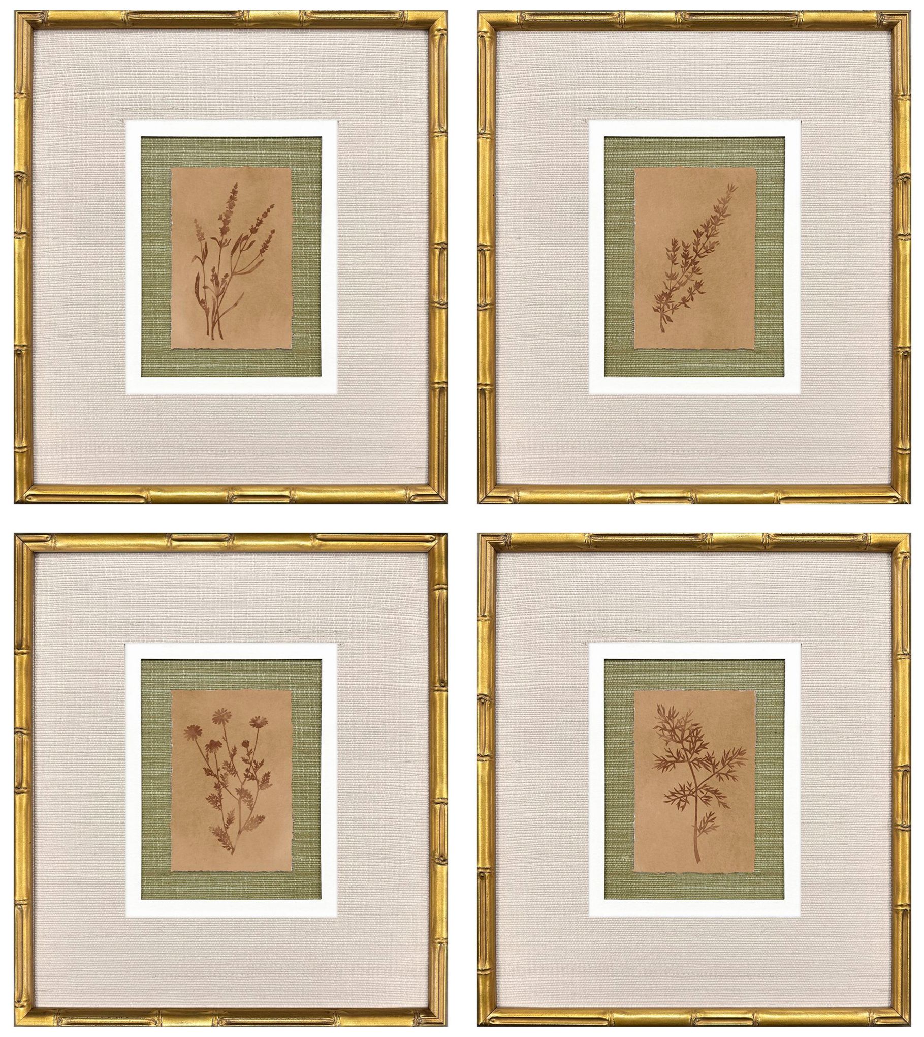 Paragon Organic Botanical I 15"w X 17"h Framed Art - Set Of 4