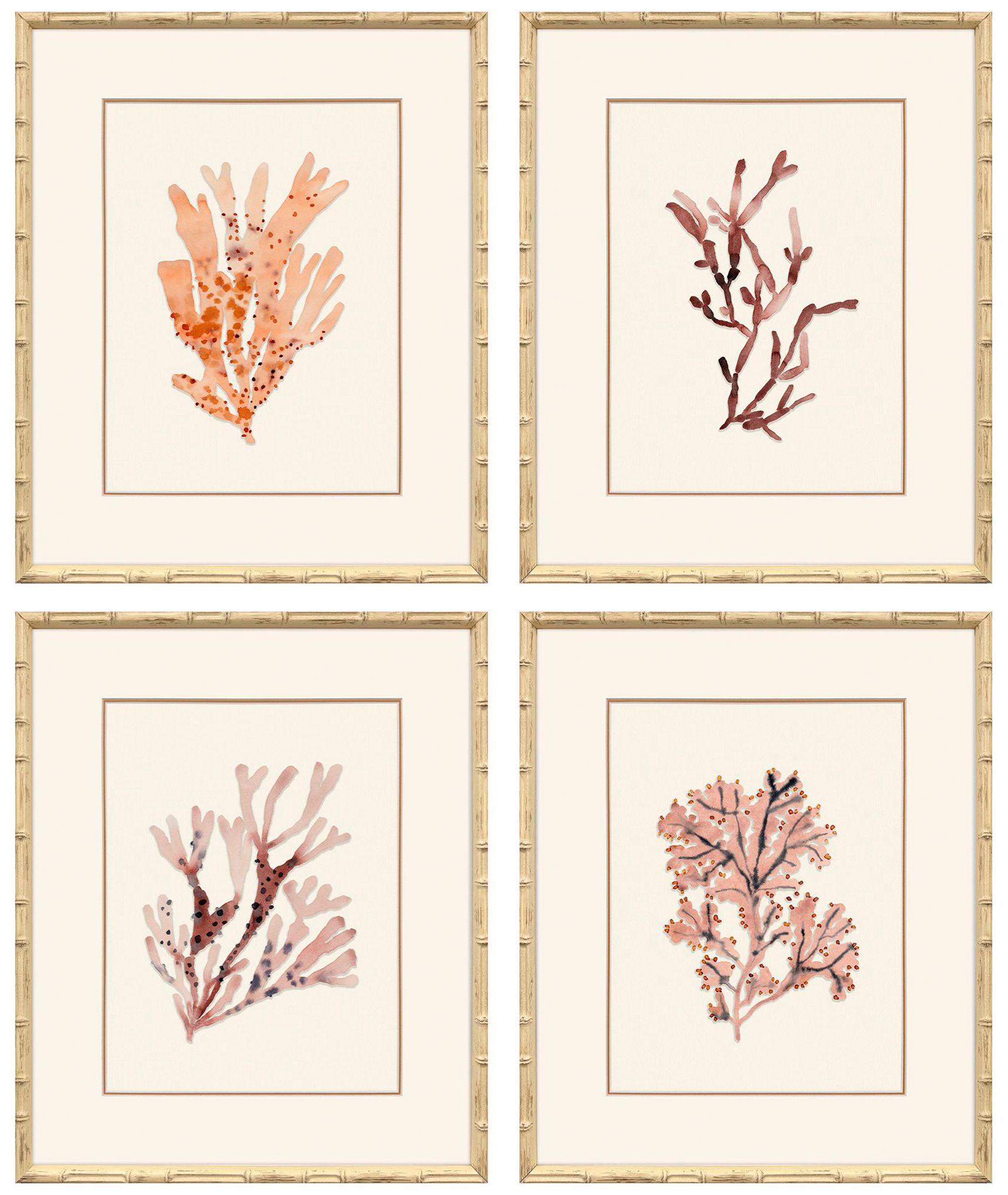 Paragon Ochre Coral 19"w X 23"h Framed Art - Set Of 4
