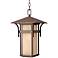 Hinkley Harbor Collection 19" High Outdoor Hanging Light