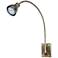 Antique Brass Gooseneck Plug-In Gooseneck Arm Adjustable LED Wall Lamp