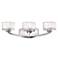 Hinkley Meridian Collection 21" Wide Bathroom Wall Light
