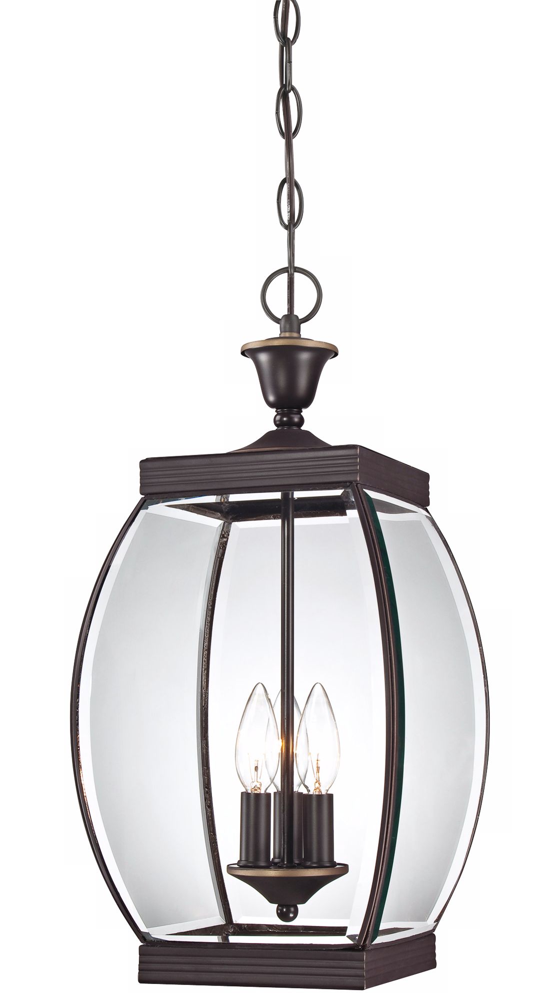 Quoizel Oasis 20 1/2" High Hanging Outdoor Light