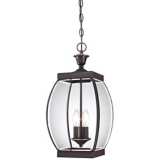 Quoizel Oasis 20 1/2&quot; High Hanging Outdoor Light