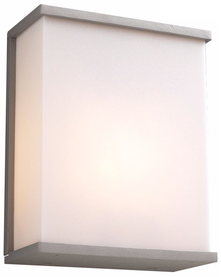 Pinero 10" High Silver Outdoor Wall Light